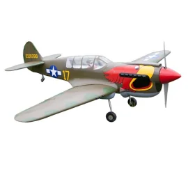 P-40N Warhawk Mat ARF