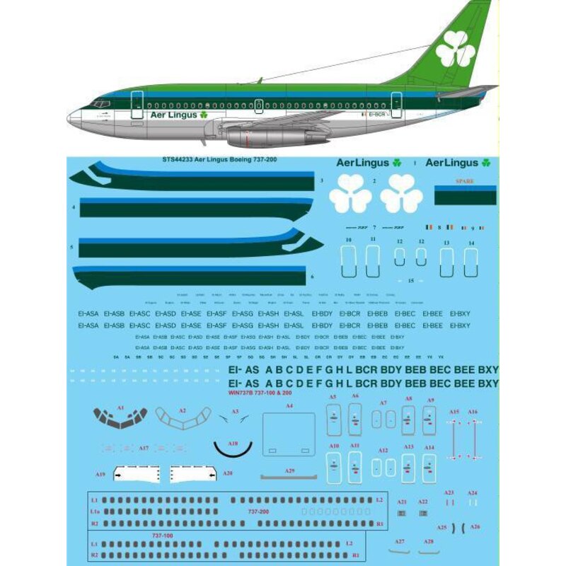 Aer Lingus 1970 Livree Boeing 737-200