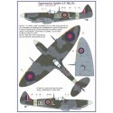 Supermarine Spitfire Mk.IX C 2 Abziehbild-Versionen: DU-L